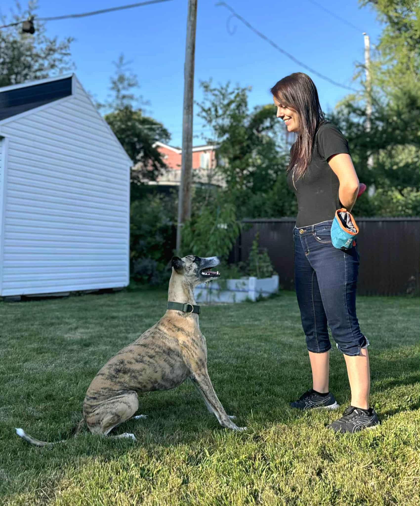 Sandy St-Pierre, éducatrice canine professionnelle avec un chien