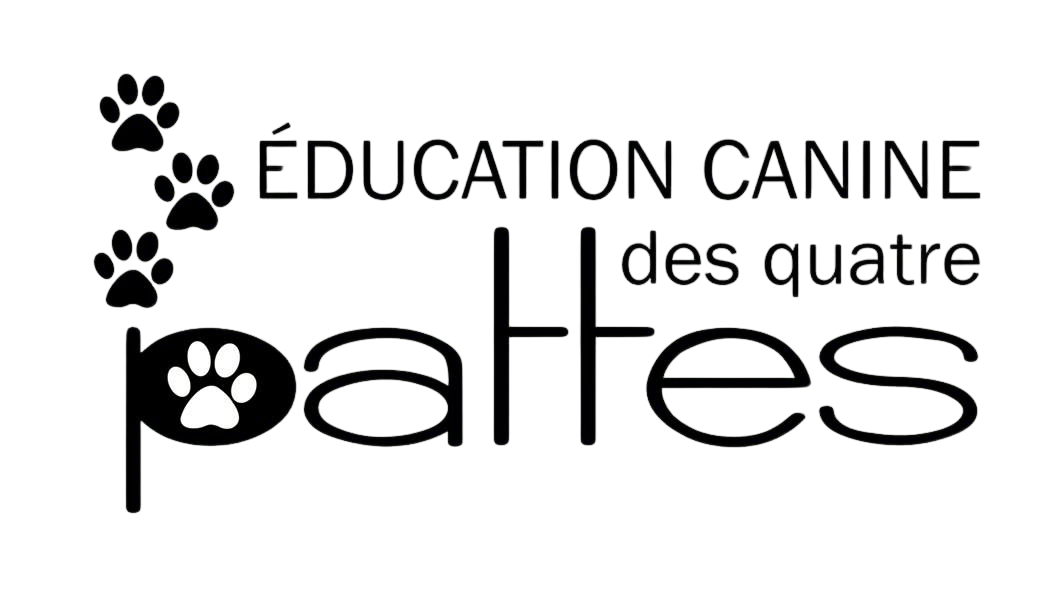 Éducation canine des quatres pattes