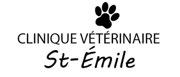 clinique vétérinaire St-Émile
